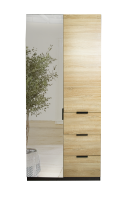 Шкаф "Ним" 2 дв 3ящ  зеркало Сосна Лофт/Вижн